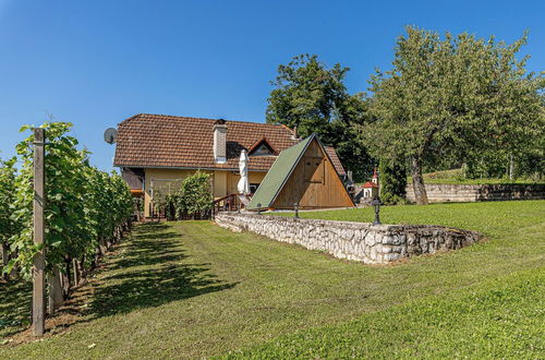 Foto 1 - Vineyard Cottage Hocevar With Sauna