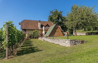 Foto 1 - Vineyard Cottage Hocevar With Sauna