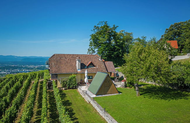 Vineyard Cottage Hocevar With Sauna - Foto 25
