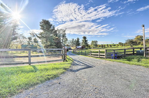 Photo 16 - Pet-friendly Retreat on a Horse Breeding Farm