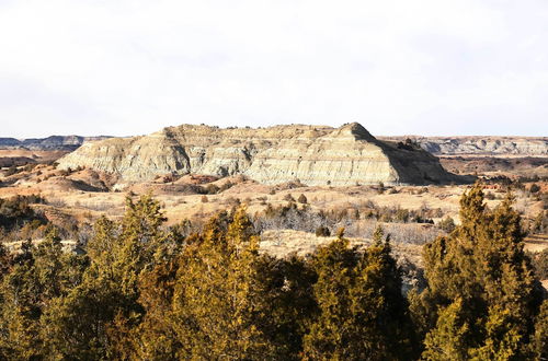 Foto 22 - 'badlands Suite' < 1 Mi to Teddy Roosevelt Park