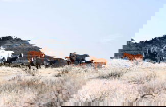 Foto 3 - 'sacajawea Suite' w/ Deck: Near Trails & Sites