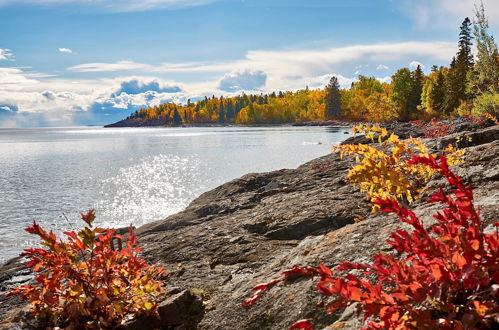 Foto 4 - Heart of Superior Lake Cabin: 15 Mi to Lutsen Mtn