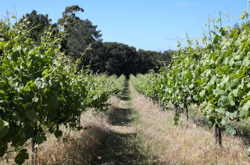 Foto 58 - Quinta de Chousas - Braga - Agrotourism