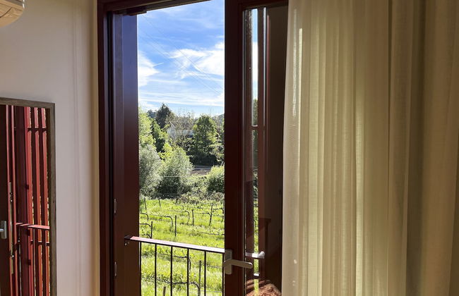 Quinta de Chousas - Braga - Agrotourism - Foto 21