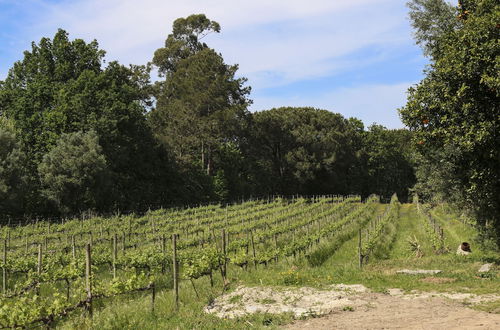 Photo 57 - Quinta de Chousas - Braga - Agrotourism