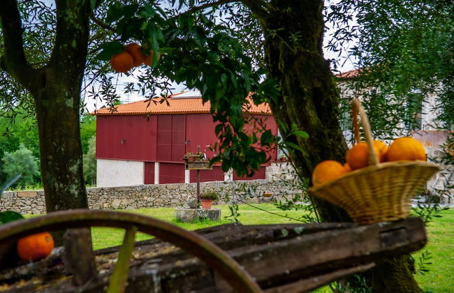 Quinta de Chousas - Braga - Agrotourism - Foto 55