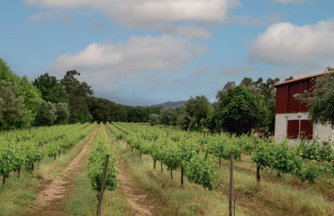 Quinta de Chousas - Braga - Agrotourism - Foto 38