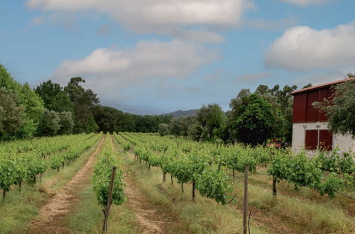 Foto 38 - Quinta de Chousas - Braga - Agrotourism