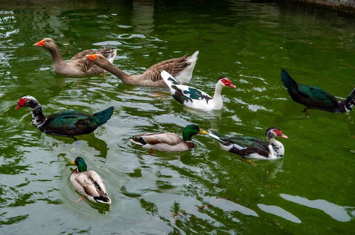 Photo 56 - Quinta de Chousas - Braga - Agrotourism