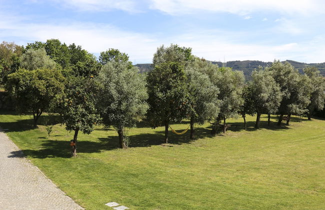 Quinta de Chousas - Braga - Agrotourism - Foto 51