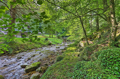 Photo 19 - Roan Mountain Creekside Cabin: Hike & Fish