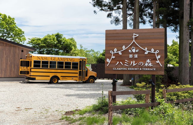 Hamiru's Forest - Photo 13
