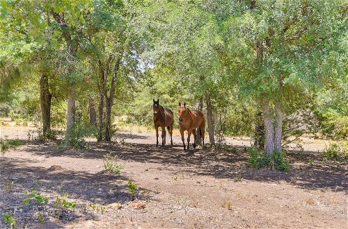 Photo 2 - Palo Pinto Paradise on 55-acre Texas Farm