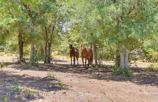 Foto 2 - Palo Pinto Paradise on 55-acre Texas Farm