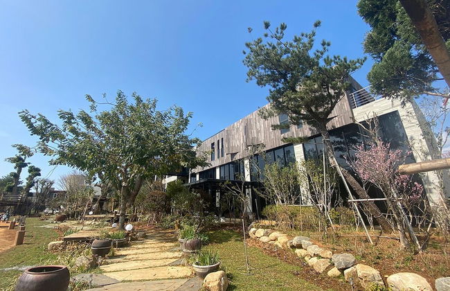 The Forest Museum - Photo 1