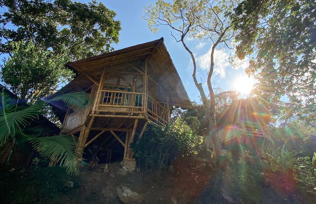 Hostería El Sendero Cocorná - Photo 20