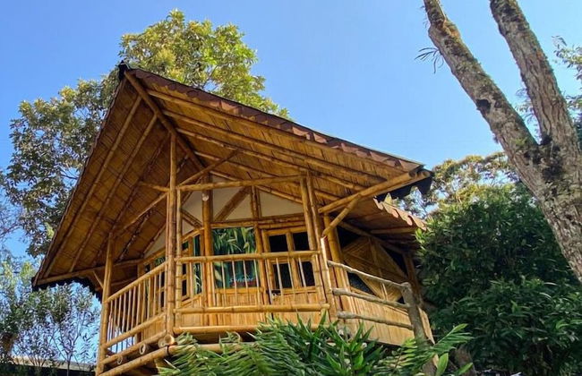 Hostería El Sendero Cocorná - Photo 25