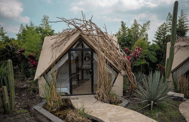 Bosque Geométrico - Foto 73