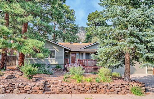 Forest Heights - Foto 17