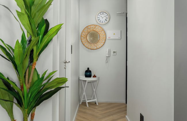 One Thibault 1805 - Foto 11