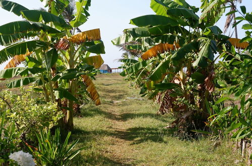 Photo 48 - Villaperdida