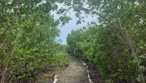 Entrada (vista interior)