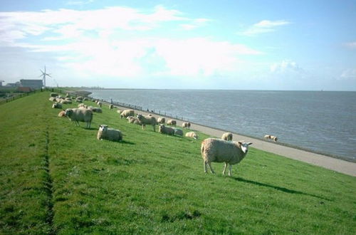 Photo 25 - Nice Chalet with Microwave near Wadden Sea