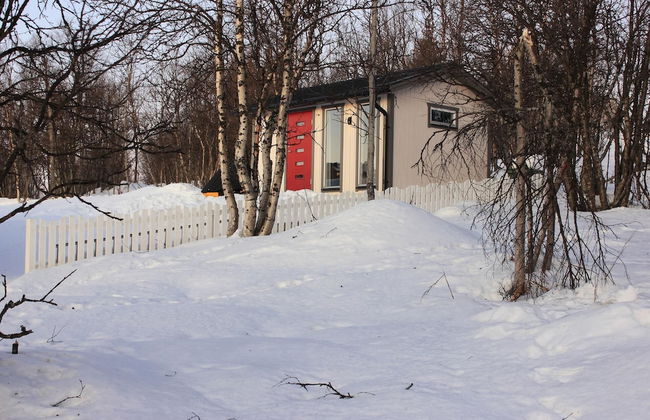 Aurora Cabin - Photo 28