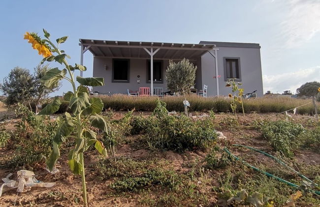 Zeus kır evi - Foto 77