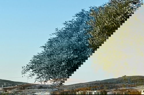Photo 23 - Zeus kır evi