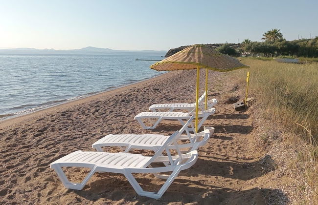 Zeus kır evi - Foto 71
