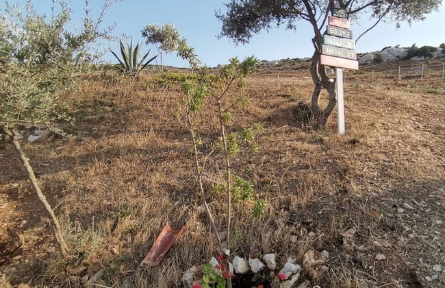 Zeus kır evi - Foto 73