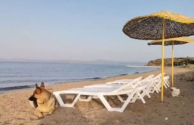 Zeus kır evi - Foto 65
