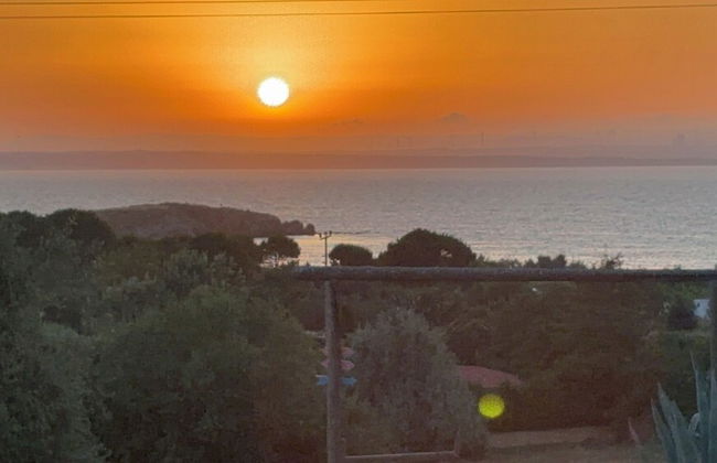 Zeus kır evi - Foto 59