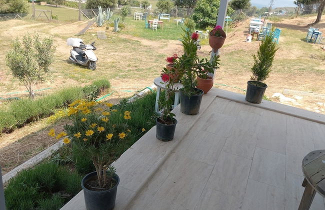 Zeus kır evi - Foto 31