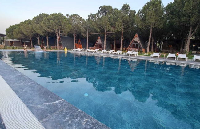 Welllife Hotels & Restaurant - Foto 10