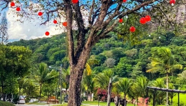 Receção