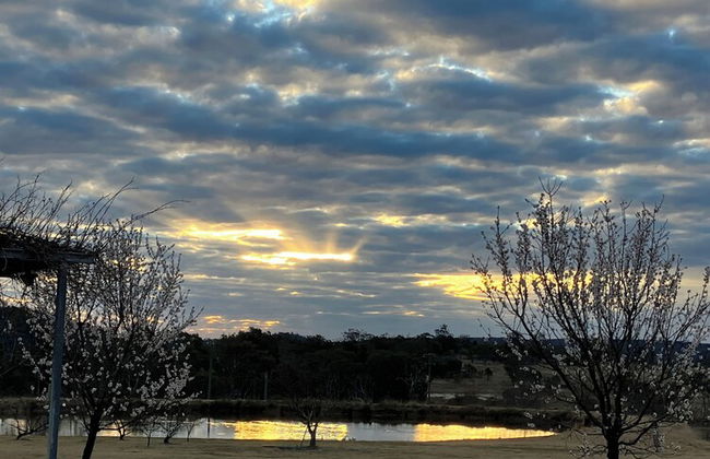 Stargazers Escape Stanthorpe - Foto 43