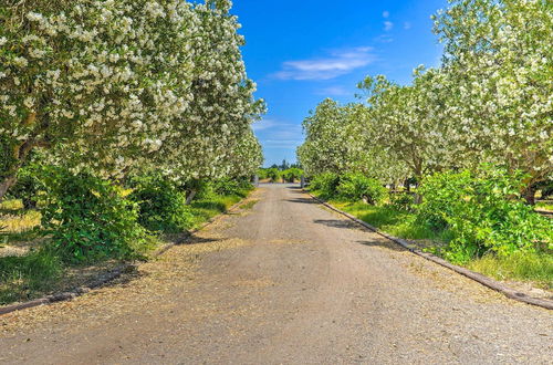 Photo 16 - Charming Lodi Retreat: Walk to Local Wineries