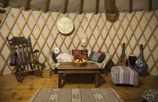 Foto 1 - Yurt Located in a Little oak Grove