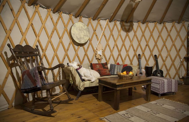 Yurt Located in a Little oak Grove - Foto 8
