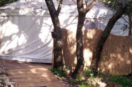 Photo 16 - Yurt Located in a Little oak Grove. Natural and a Private Experience