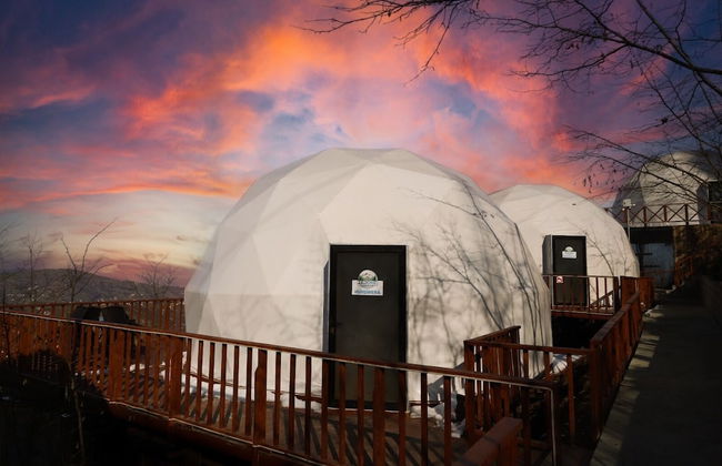 Zedome Panorama - Foto 29