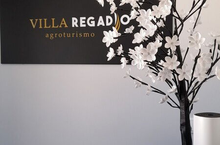 Foto 23 - Villa Regadio