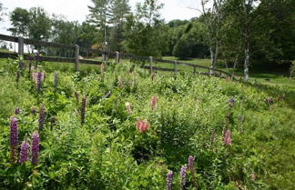 Photo 2 - Chester Farmhouse on 100 Acres, 15 Min to Okemo