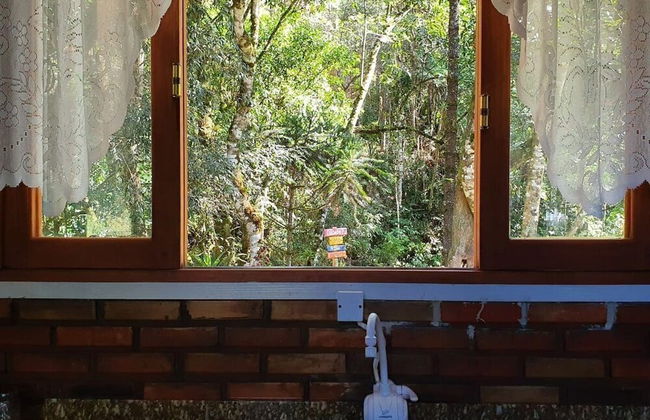 Recanto das Águas - Anitápolis - SC - Foto 29