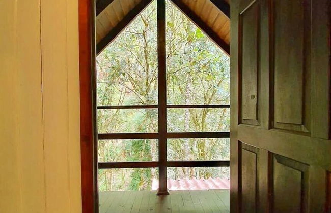 Recanto das Águas - Anitápolis - SC - Foto 65