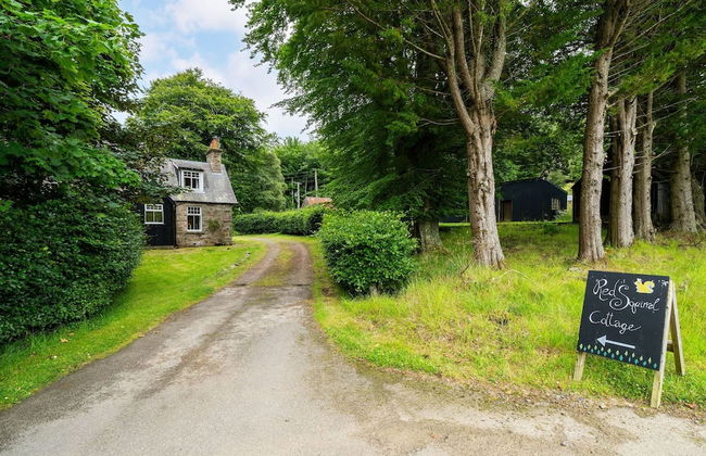 Red Squirrel Cottage Pet Friendly Family Adventure Retreat in Aberdeenshire - Foto 6