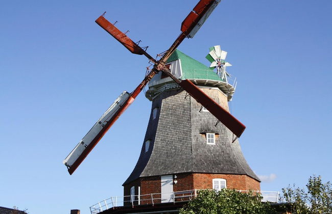 Hollaender Windmuehle in Neubukow - Foto 33